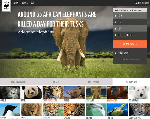 WWF-landing-page-example.png